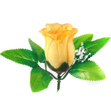 Róża w pąku - główka z liściem Yellow